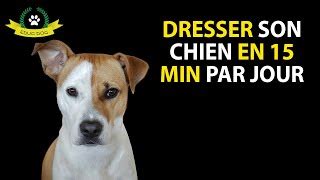 Dresser Son Chien En Minutes Par Jour Webs