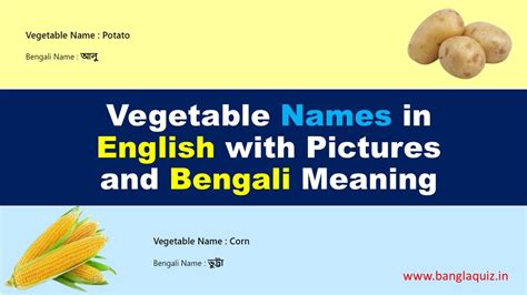 Vegetable Names In English With Pictures And Bengali Meaning Vegetables