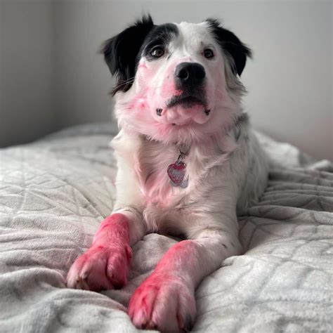 Caught Red-Handed: Major Arrests in Mobile Area 10