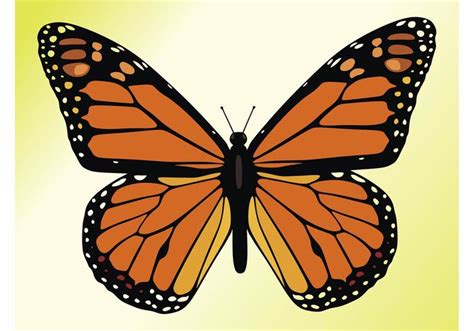 Mariposa Monarca Descargue Gráficos Y Vectores Gratis