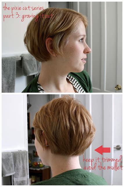 Unspeakable Visions The Pixie Cut Series Part 3 Growing It Out