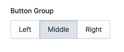 Button Group Fieldtype Statamic Docs