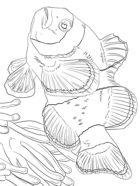 Clownfish Coloring Pages