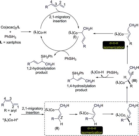 Cobalt Catalyzed Regioselective Stereoconvergent Markovnikov 12