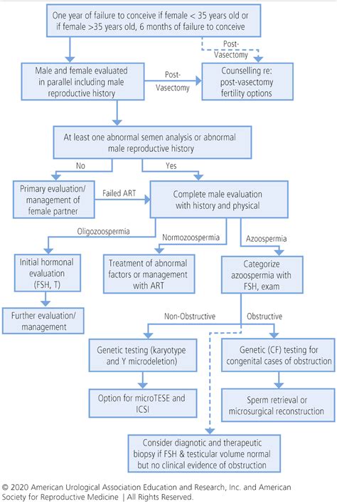 Diagnosis And Treatment Of Infertility In Men AUA ASRM Guideline Part