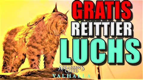 Assassins Creed Valhalla Gratis Luchs Als Reittier Ac Dlc Zorn Der