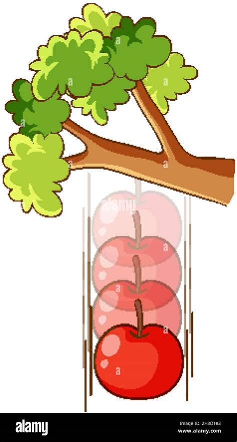 Apple Falling From The Tree Stock Vector Images Alamy