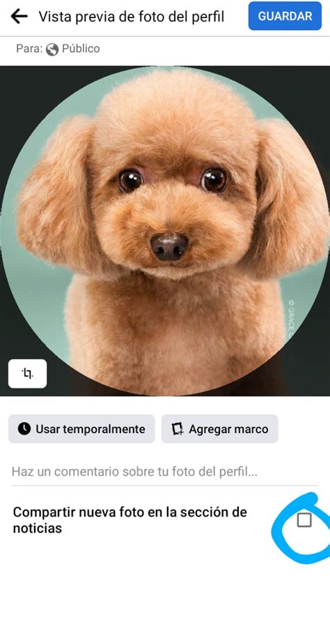 Cómo cambiar tu foto de perfil en 5 sencillos pasos sin que tus amigos