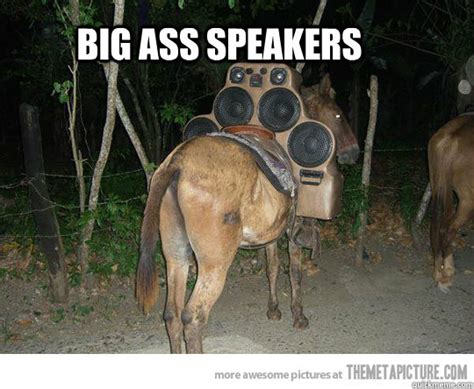 Big Ass Speakers B N Ass Quickmeme