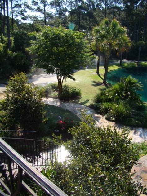 low country landscape - Beach Style - Landscape - Other - by Custom ...