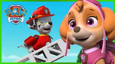 Paw Patrol Marshall And Skye