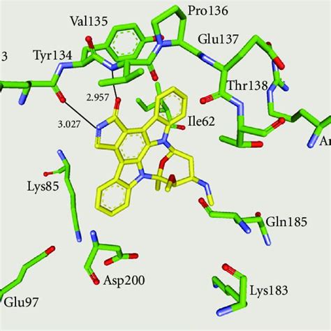 Compound 13 In The Atp Binding Pocket Of Gsk 3β Important