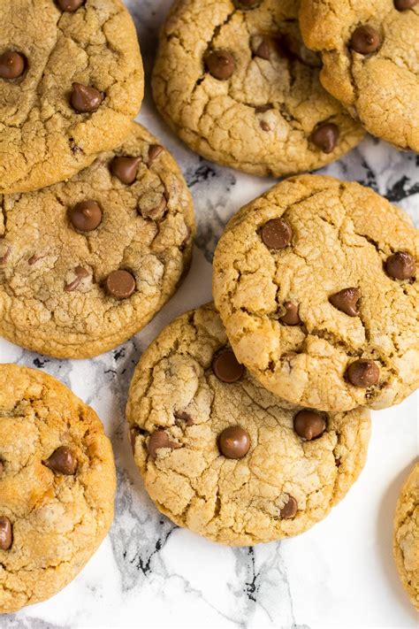 Chocolate Chip Biscoff Cookies Marsha S Baking Addiction