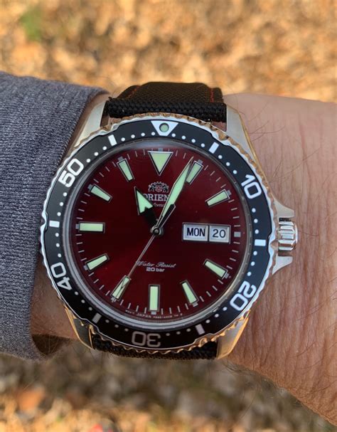 Orient diver | WatchCrunch