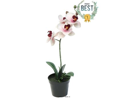 Orchidée Phalaenopsis factice en pot top qualité H35cm Rose crème BEST