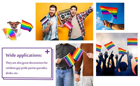 Amazon Whaline Pack Rainbow Stick Flags Gay Pride Small Mini