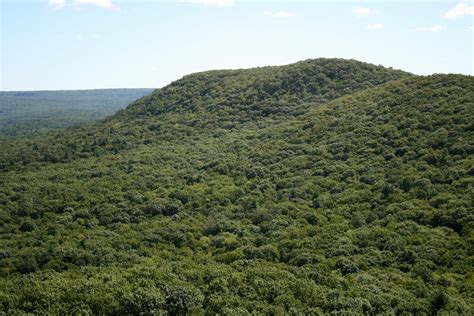 Spicebush Log: Views of Long Mountain