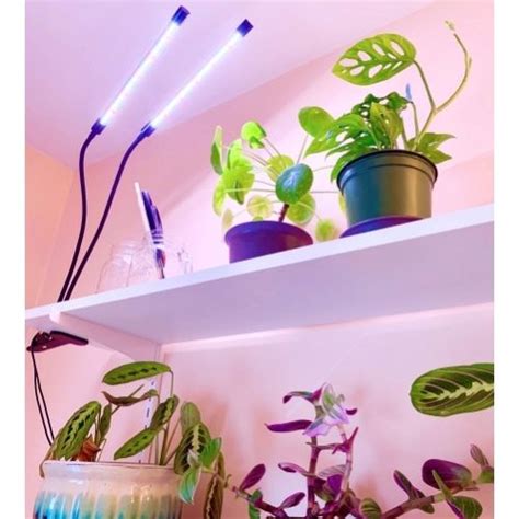 The Best Grow Lights For Houseplants Sprouts And Stems