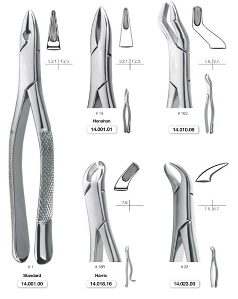 Extracting Forceps American Pattern Helmut Zepf Dental Instruments