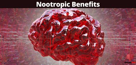 Scientific Breakdown Of Nootropics Afobazole Review Nootropic