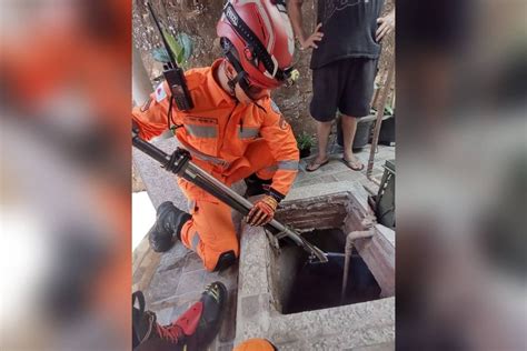 Bombeiros resgatam gato que caiu em cisterna seis metros Vídeo