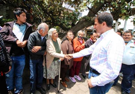 Anuncian El Rbol De Las Manitas Como Patrimonio De Toluca