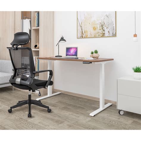 Electric Standing Desk With Dual Motors Height Adjustable Sit Stand