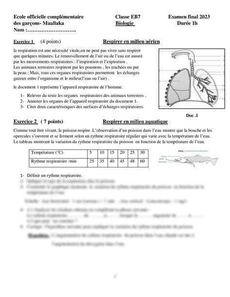 Solution La Respiration Sample Exam Studypool