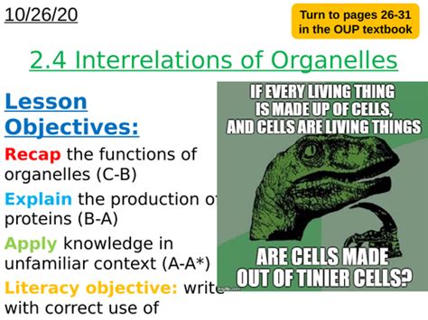 Ocr A Level Biology H420 Chapter 2 Basic Components Of Living