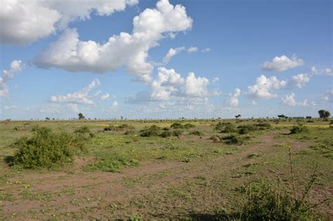 Images of Ethiopia S Afar Region Stock Photo - Image of region, afar ...