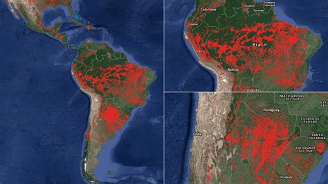 Celos Caballo Cordura Incendio Amazonas Mapa Satelital Sabueso Morir Acero