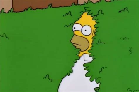 Homer Disappears Into Bush Blank Template Imgflip