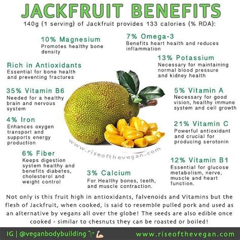 Nutritional Information Jackfruit Besto Blog