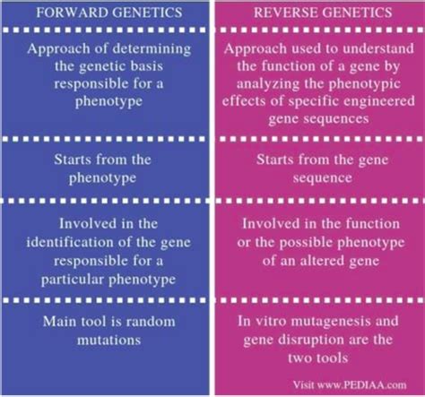 Different Genetic Approaches Flashcards Quizlet