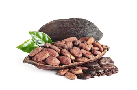 Cocoa Beans, Pods and Leaves Isolated Stock Image - Image of aromatic, agriculture: 156217033