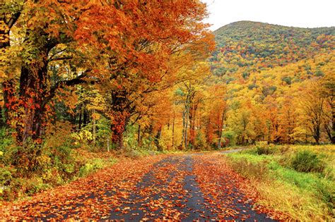 Fall Foliage In North America • Columbia Blog