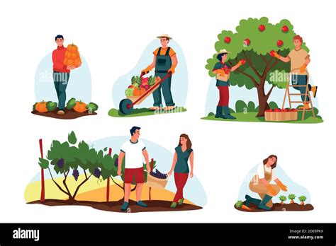 Fall Harvesting And Agriculture Farming Concept Vector Flat Cartoon