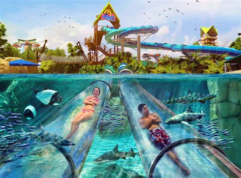 New Water Slides To Race Onto The Scene Next March