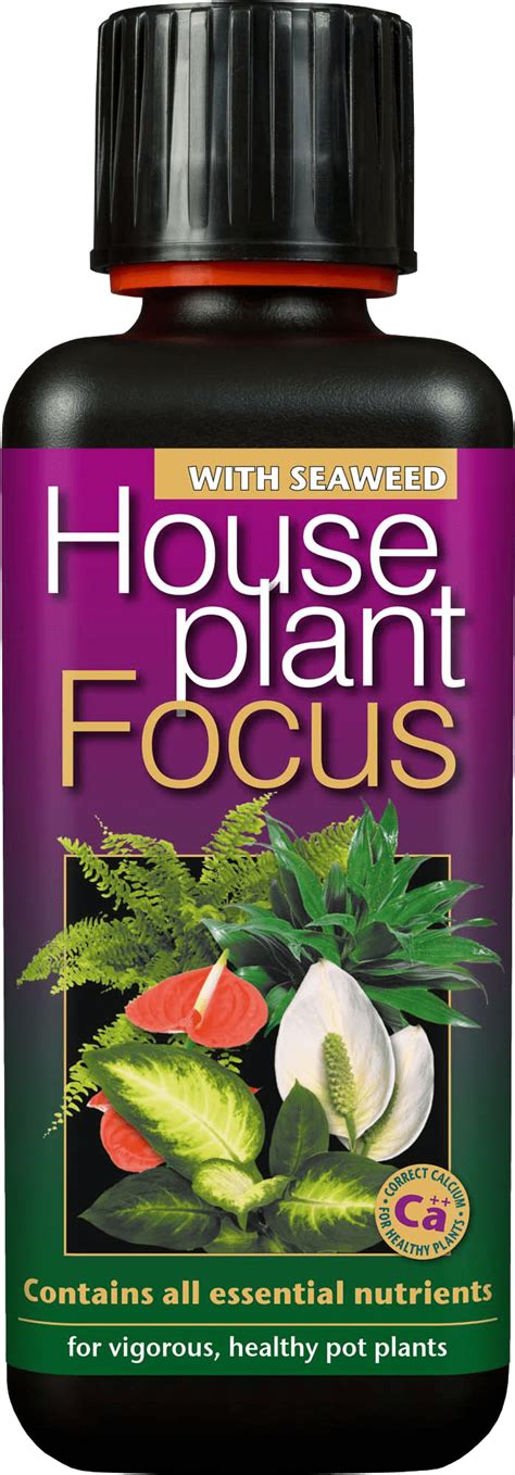 Houseplant Focus 300 Ml The Garden Society