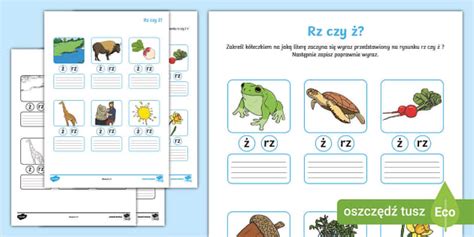 Na jaką literę zaczyna się wyraz Pisownia wyrazów z rz i ż Ortografia