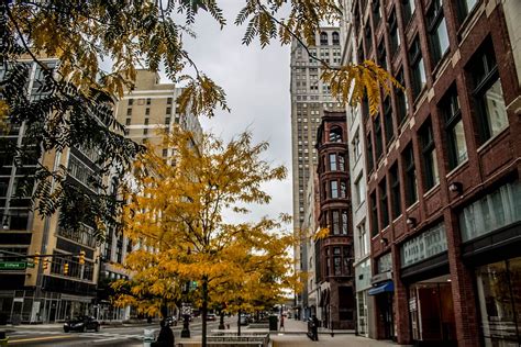 The Streets Of Detroit Michigan 2014 Street View Street Scenes