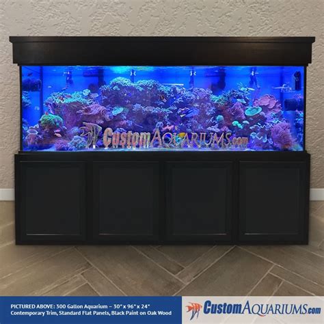 Custom Aquariums Glass Fish Tanks Diy Aquariums Saltwater Aquariums