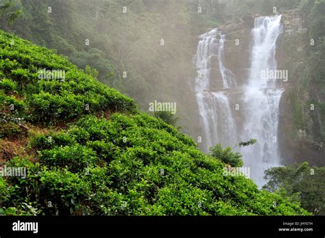 Beautiful Ramboda waterfall in Sri Lanka Stock Photo - Alamy