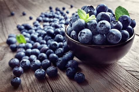 Top 10 Blueberry Varieties To Grow For Home Harvests | Garden Wisper