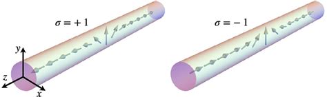 Domain walls in a ferromagnetic wire with Z 2 topological charges σ