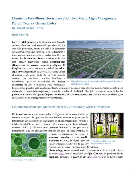 Fotobioreactor Para Cultivo Micro Algas Pdf