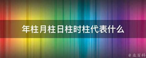 年柱月柱日柱时柱代表什么 业百科