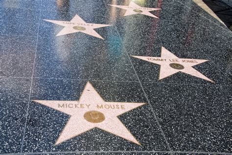 Hollywood Walk Of Fame Named The Worst Tourist Attraction In America