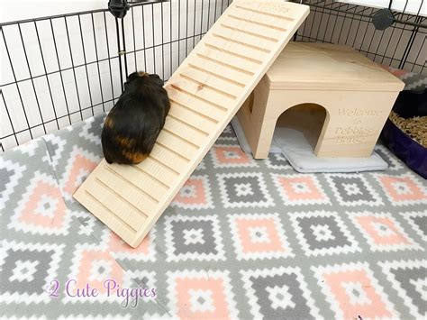 Personalized Guinea Pig Cage Ramp Small Pet Ramp Small - Etsy