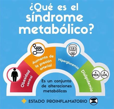 Síndrome Metabólico Clínica De Fisioterapia Physio Sports México